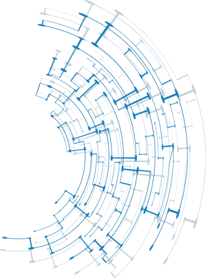 Thiết Kế App Chuyên Nghiệp Uy Tín Top 10 Việt Nam